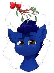 Size: 1484x2000 | Tagged: safe, artist:midnightpremiere, imported from derpibooru, oc, oc only, oc:deevfactor, pony, holly, holly mistaken for mistletoe, simple background, solo, transparent background