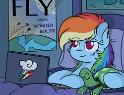 Size: 900x688 | Tagged: safe, artist:pink-pone, imported from derpibooru, rainbow dash, tank, pegasus, pony, tortoise, bed, computer, cute, eyes closed, female, laptop computer, mare, poster, smiling, wavy mouth, wonderbolts