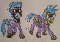 Size: 1508x1053 | Tagged: safe, artist:rapidsnap, imported from derpibooru, nightshade, oc, oc:rapidsnap, pegasus, pony, shadowbolts, traditional art