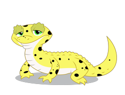 Size: 4546x3458 | Tagged: safe, artist:dragonchaser123, imported from derpibooru, ray, gecko, leopard gecko, lizard, eqg summertime shorts, equestria girls, pet project, animal, lidded eyes, looking at you, male, simple background, solo, transparent background, vector