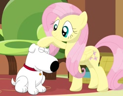 Size: 1013x789 | Tagged: safe, artist:porygon2z, imported from derpibooru, fluttershy, brian griffin, crossover, family guy