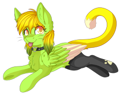 Size: 2200x1700 | Tagged: safe, artist:adostume, imported from derpibooru, oc, oc only, pegasus, pony, choker, clothes, simple background, solo, stockings, thigh highs, tongue out, transparent background, whiskers