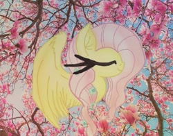 Size: 423x332 | Tagged: safe, edit, imported from derpibooru, fluttershy, calm, flower, nature, peaceful