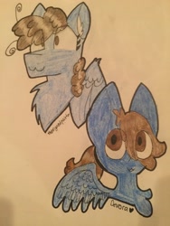 Size: 3264x2448 | Tagged: safe, artist:devora, artist:thesignedpainter, imported from derpibooru, oc, oc only, oc:prism note, pegasus, pony, colab, curly hair, female, filly, mare, ponysona, traditional art, young
