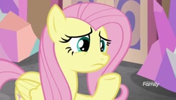 Size: 999x566 | Tagged: safe, imported from derpibooru, screencap, fluttershy, pegasus, pony, school daze, female, mare, raised hoof, school of friendship