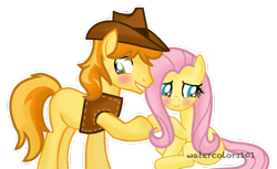Size: 1040x638 | Tagged: safe, artist:waterz-colrxz, imported from derpibooru, braeburn, fluttershy, blushing, braeshy, female, male, shipping, simple background, straight, transparent background