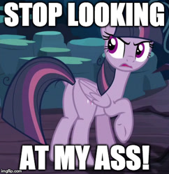 Size: 417x431 | Tagged: safe, edit, edited screencap, imported from derpibooru, screencap, mean twilight sparkle, alicorn, pony, the mean 6, annoyed, butt, caption, clone, female, image macro, mare, meme, plot, vulgar