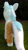 Size: 762x1366 | Tagged: safe, artist:hoppip, imported from derpibooru, lyra heartstrings, pony, unicorn, clothes, female, infamous, irl, lyra plushie, mare, outdoors, pants, photo, plothole plush lyra, plushie, rear view, solo, standing, tail, tail hole