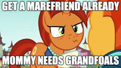 Size: 888x499 | Tagged: safe, edit, edited screencap, imported from derpibooru, screencap, stellar flare, sunburst, the parent map, duo, image macro, meme, mothers gonna mother, subtle as a train wreck, that pony sure does want grandfoals
