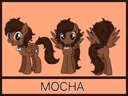 Size: 1129x850 | Tagged: safe, artist:linedraweer, imported from derpibooru, oc, oc only, oc:mocha, pegasus, pony, collar, commission, female, mare, reference, reference sheet, solo