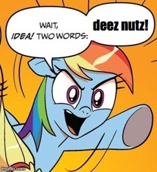 Size: 334x366 | Tagged: safe, edit, idw, imported from derpibooru, rainbow dash, comic, deez nuts, exploitable meme, meme, obligatory pony, speech bubble, text, two words meme