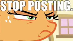 Size: 1280x720 | Tagged: safe, edit, edited screencap, imported from derpibooru, screencap, applejack, earth pony, pony, grannies gone wild, angry, female, frown, glare, image macro, it's time to stop posting, mare, meme, reaction image, solo