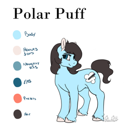 Size: 3000x3000 | Tagged: safe, artist:polar puff, imported from derpibooru, oc, oc only, oc:polar puff, earth pony, pony, female, mare, nudity, reference sheet, short mane, short tail, solo, unshorn fetlocks