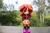 Size: 6000x4000 | Tagged: safe, artist:artofmagicpoland, imported from derpibooru, sunset shimmer, equestria girls, doll, equestria girls minis, female, solo, toy, wallpaper