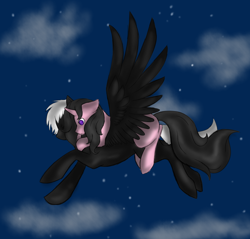 Size: 2200x2100 | Tagged: safe, artist:nekonx103, imported from derpibooru, oc, oc only, oc:passion, oc:pride, pegasus, pony, unicorn, cloud, couple, cute, flying, huggies, i can show you the world, love, night, sky, stars