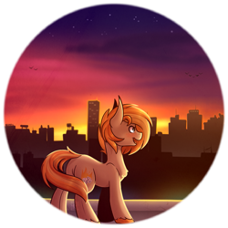 Size: 963x963 | Tagged: safe, artist:ak4neh, imported from derpibooru, oc, oc only, oc:parlay, earth pony, pony, city, female, mare, solo, sunset