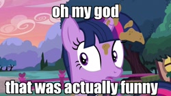 Size: 1280x720 | Tagged: safe, edit, edited screencap, imported from derpibooru, screencap, twilight sparkle, alicorn, pony, castle sweet castle, cloud, female, fence, fluttershy's cottage, image macro, mare, meme, mud, reaction image, shocked, solo, tree, twilight sparkle (alicorn)