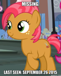 Size: 600x753 | Tagged: safe, edit, edited screencap, imported from derpibooru, screencap, babs seed, earth pony, pony, cropped, female, filly, image macro, meme, memeful.com, missing, raised hoof, smiling, solo focus