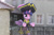 Size: 6000x4000 | Tagged: safe, artist:artofmagicpoland, imported from derpibooru, twilight sparkle, alicorn, pony, captain twilight, female, guardians of harmony, misadventures of the guardians, pirate twilight, solo, toy, twilight sparkle (alicorn)