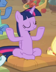 Size: 344x436 | Tagged: safe, imported from derpibooru, screencap, twilight sparkle, alicorn, pony, a rockhoof and a hard place, anatomically incorrect, cropped, crossed hooves, crossed legs, female, incorrect leg anatomy, lotus position, mare, meditating, meditation, pillow, twilight sparkle (alicorn), yoga