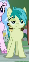 Size: 190x402 | Tagged: safe, imported from derpibooru, screencap, sandbar, silverstream, earth pony, pony, what lies beneath, are you serious, book, cropped, male, offscreen character, raised eyebrow, sandbar is not amused