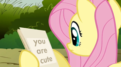 Size: 956x536 | Tagged: safe, edit, imported from derpibooru, screencap, fluttershy, pony, putting your hoof down, cute, fact, female, fluttershy's letter, meme, message, shyabetes, solo, truth