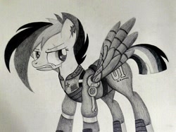 Size: 740x554 | Tagged: safe, artist:night fury, imported from derpibooru, rainbow dash, alternate timeline, apocalypse dash, black and white, crystal war timeline, grayscale, monochrome, scar, torn ear, traditional art