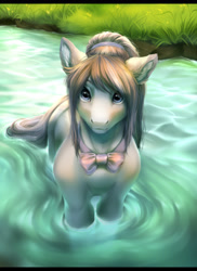 Size: 1556x2140 | Tagged: safe, artist:kerydarling, artist:rrusha, imported from derpibooru, oc, oc only, earth pony, pony, art trade, bowtie, digital art, female, grass, looking at you, mare, signature, solo, swimming, water