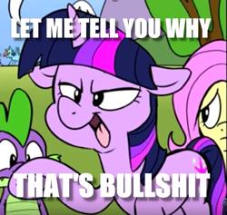 Size: 665x630 | Tagged: safe, imported from derpibooru, twilight sparkle, drunk, drunk twilight, image macro, let me tell you why that's bullshit, meme, vulgar