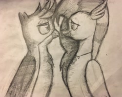 Size: 3752x2990 | Tagged: safe, artist:drawer450, imported from derpibooru, gallus, silverstream, classical hippogriff, griffon, hippogriff, black and white, couple, duo, eye contact, female, gallstream, grayscale, looking at each other, male, monochrome, shipping, straight, traditional art