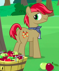 Size: 293x356 | Tagged: safe, imported from derpibooru, screencap, apples snack, earth pony, pony, the perfect pear, apple, apple family member, background pony, bandana, basket, bushel basket, butt, cropped, food, looking back, male, plot, solo, stallion