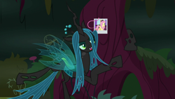 Size: 1280x720 | Tagged: safe, imported from derpibooru, screencap, fluttershy, queen chrysalis, changeling, changeling queen, pegasus, pony, the mean 6, female, hair, photo, picture, polaroid, solo, tree