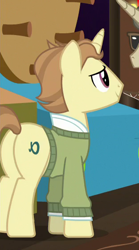 Size: 312x563 | Tagged: safe, imported from derpibooru, screencap, alpha beta, pony, unicorn, grannies gone wild, background pony, butt, clothes, cropped, cutie mark, las pegasus resident, male, plot, stallion, sweater