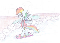 Size: 920x660 | Tagged: safe, artist:m.w., imported from derpibooru, rainbow dash, pony, awesome, back to the future, clothes, cosplay, costume, female, hoverboard, jacket, marty mcfly, parody, solo