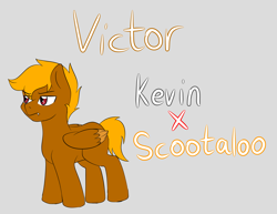 Size: 2893x2229 | Tagged: safe, artist:jolliapplegirl, imported from derpibooru, oc, oc only, oc:victorious march, changeling, pegasus, pony, changeling oc, colt, male, next generation, parent:kevin, parent:scootaloo, parents:keviloo, solo