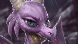 Size: 1200x675 | Tagged: safe, artist:assasinmonkey, imported from derpibooru, scales (character), dragon, the hearth's warming club, bust, digital painting, dragoness, female, portrait, rain, scales (g4), signature, smiling, smirk, solo