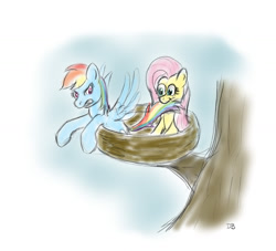 Size: 1309x1188 | Tagged: safe, artist:werdkcub, imported from derpibooru, fluttershy, rainbow dash, atg 2018, behaving like a bird, biting, duo, nest, newbie artist training grounds, tail bite, traditional art, tree, tree branch
