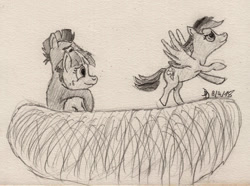 Size: 1024x760 | Tagged: safe, artist:darkdabula, imported from derpibooru, bow hothoof, rainbow dash, windy whistles, atg 2018, behaving like a bird, family, flying, monochrome, nest, newbie artist training grounds, traditional art