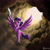 Size: 2048x2048 | Tagged: safe, artist:darkdabula, imported from derpibooru, twilight sparkle, alicorn, my little pony: the movie, backlighting, backlit, cloud, female, flying, mare, scene interpretation, staff, staff of sacanas, twilight day, twilight sparkle (alicorn)