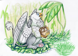 Size: 1234x892 | Tagged: safe, artist:earthsong9405, imported from derpibooru, oc, oc only, oc:der, griffon, acorn, leaves, male, micro, paws, sitting, solo, spread wings, tiny, traditional art, underpaw, watercolor painting, wings