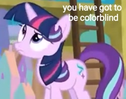 Size: 720x569 | Tagged: safe, edit, edited screencap, editor:axal-5, imported from derpibooru, screencap, starlight glimmer, pony, unicorn, a matter of principals, color blindness, female, ladder, mare, not twilight sparkle, text, text edit, twilight wig, wig