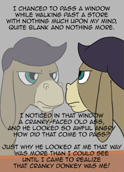 Size: 793x1093 | Tagged: safe, artist:loceri, imported from derpibooru, cranky doodle donkey, donkey, ask pun, ask, male, mirror, solo