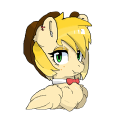 Size: 500x500 | Tagged: safe, artist:amplemares, imported from derpibooru, oc, oc only, oc:holly apple, pegasus, pony, bust, chest fluff, freckles, hat, pixel art, simple background, transparent background