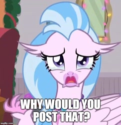 Size: 500x515 | Tagged: safe, imported from derpibooru, screencap, silverstream, classical hippogriff, hippogriff, the hearth's warming club, crying, female, image macro, jewelry, meme, necklace, reaction image, sad, teary eyes, text, why would you post that