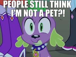 Size: 1440x1080 | Tagged: safe, edit, edited screencap, editor:useraccount, imported from derpibooru, screencap, spike, dog, equestria girls, equestria girls (movie), confused, disbelief, image macro, meme, op is a duck, op is trying to start shit, pet, shitposting, spike is a pet, spike the dog, spikeabuse, spikeposting