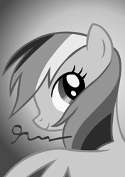 Size: 5000x7100 | Tagged: safe, artist:dzejpi, imported from derpibooru, rainbow dash, pony, the mysterious mare do well, absurd resolution, autograph, beautiful, black and white, bust, female, grayscale, monochrome, photo, portrait, poster, solo, vector