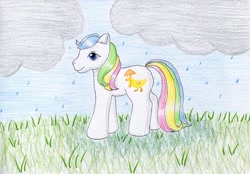 Size: 1024x713 | Tagged: safe, artist:normaleeinsane, imported from derpibooru, baby quackers, pony, cloud, female, g1, grass, rain, solo, traditional art