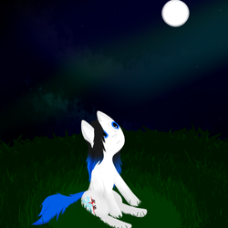 Size: 1024x1024 | Tagged: safe, artist:gexon_pane, imported from derpibooru, oc, oc only, oc:frozen tears, pegasus, pony, cloud, cloudy, female, field, grass, looking up, mare, moon, night, sitting, solo, stars
