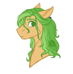 Size: 594x603 | Tagged: safe, artist:kimyowolf, imported from derpibooru, oc, oc only, oc:curiosa dream, pony, bust, male, portrait, rule 63, simple background, solo, stallion, transparent background