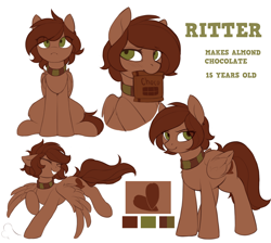 Size: 2114x1891 | Tagged: safe, artist:ritter, imported from derpibooru, oc, oc only, oc:ritter, pegasus, pony, collar, cute, cutie mark, female, ocbetes, reference sheet, simple background, teeth, wings